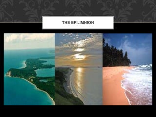 THE EPILIMNION
 