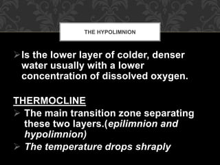 Is the lower layer of colder, denser
water usually with a lower
concentration of dissolved oxygen.
THERMOCLINE
 The main transition zone separating
these two layers.(epilimnion and
hypolimnion)
 The temperature drops shraply
THE HYPOLIMNION
 