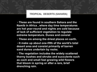 These are found in southern Sahara and the
Namib in Africa , where day time temperatures
are hot year-round and nights are cold because
of lack of sufficient vegetation to regulate
extreme temperature. Dunes and consist
These are among the driest places on earth.
It make up about one-fifth of the world’s total
desert area and consist primarily of barren
sand dunes underlain by rocks.
The vegetation includes the widely scattered
thorny bushes and shrubs and succulents such
as cacti and small fast growing wild flowers
that bloom in spring or after a rare, brief
drenching rain.
TROPICAL DESERTS (SAHARA)
 