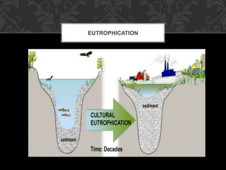 EUTROPHICATION
 
