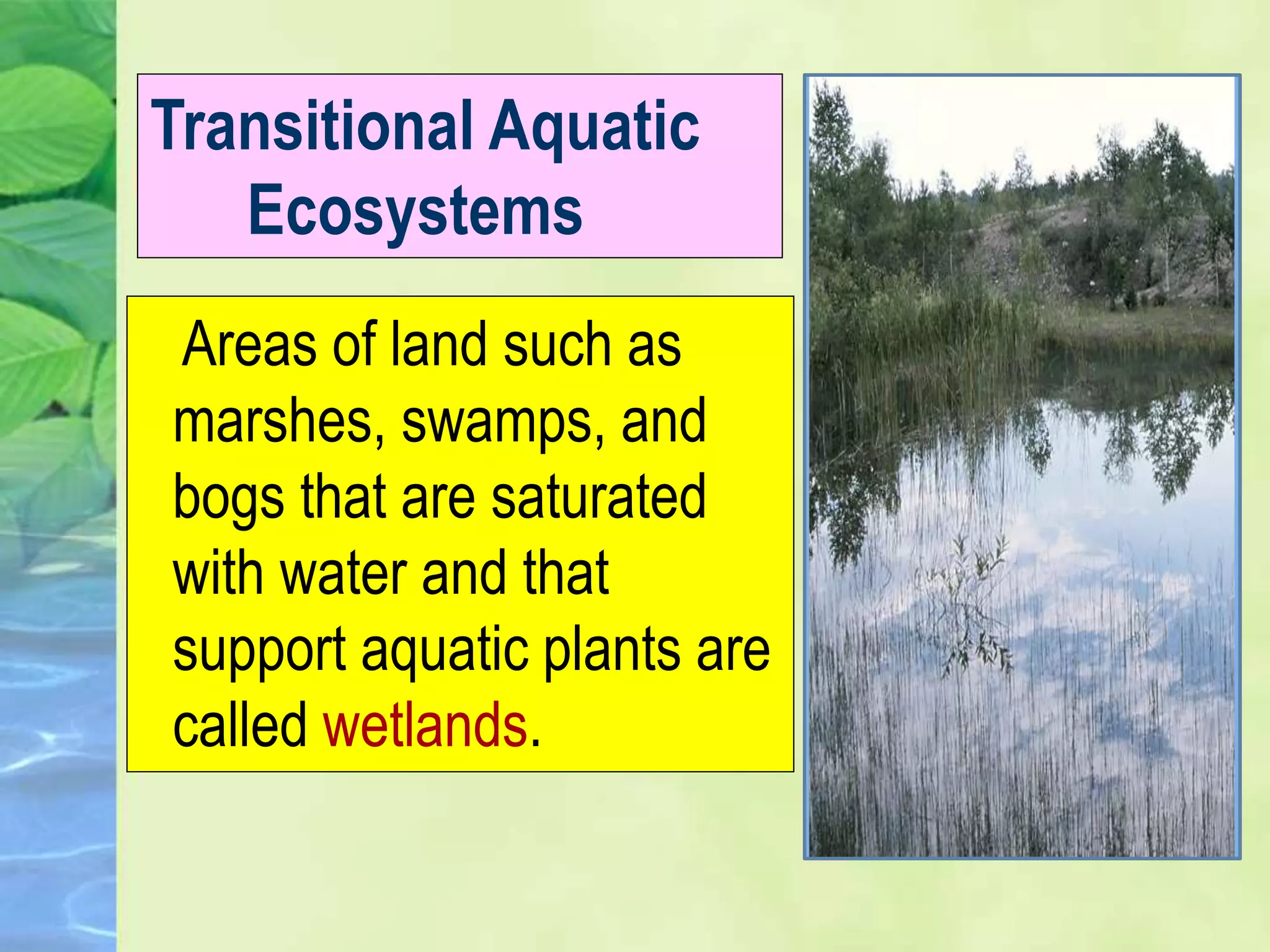 Major types of ecosystem | PPTX