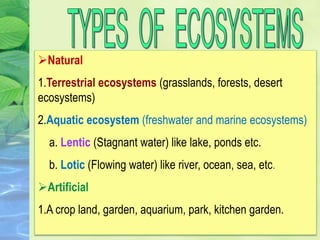 Natural
1.Terrestrial ecosystems (grasslands, forests, desert
ecosystems)
2.Aquatic ecosystem (freshwater and marine ecosystems)
a. Lentic (Stagnant water) like lake, ponds etc.
b. Lotic (Flowing water) like river, ocean, sea, etc.
Artificial
1.A crop land, garden, aquarium, park, kitchen garden.
 