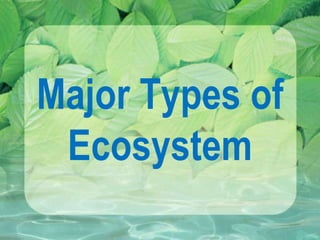 Major Types of
Ecosystem
 