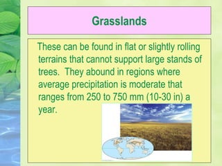 Grasslands
These can be found in flat or slightly rolling
terrains that cannot support large stands of
trees. They abound in regions where
average precipitation is moderate that
ranges from 250 to 750 mm (10-30 in) a
year.
 