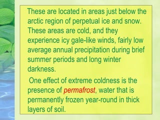 These are located in areas just below the
arctic region of perpetual ice and snow.
These areas are cold, and they
experience icy gale-like winds, fairly low
average annual precipitation during brief
summer periods and long winter
darkness.
One effect of extreme coldness is the
presence of permafrost, water that is
permanently frozen year-round in thick
layers of soil.
 