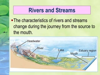 Rivers and Streams
The characteristics of rivers and streams
change during the journey from the source to
the mouth.
 