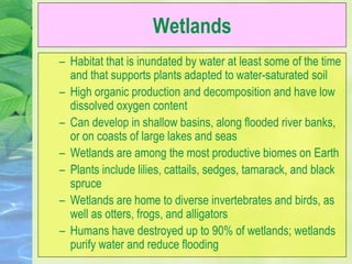 Wetlands
– Habitat that is inundated by water at least some of the time
and that supports plants adapted to water-saturated soil
– High organic production and decomposition and have low
dissolved oxygen content
– Can develop in shallow basins, along flooded river banks,
or on coasts of large lakes and seas
– Wetlands are among the most productive biomes on Earth
– Plants include lilies, cattails, sedges, tamarack, and black
spruce
– Wetlands are home to diverse invertebrates and birds, as
well as otters, frogs, and alligators
– Humans have destroyed up to 90% of wetlands; wetlands
purify water and reduce flooding
 