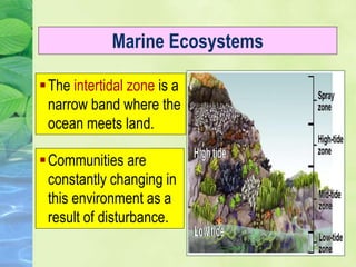 Marine Ecosystems
The intertidal zone is a
narrow band where the
ocean meets land.
Communities are
constantly changing in
this environment as a
result of disturbance.
 