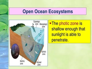 The photic zone is
shallow enough that
sunlight is able to
penetrate.
Open Ocean Ecosystems
 