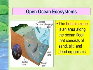 The benthic zone
is an area along
the ocean floor
that consists of
sand, silt, and
dead organisms.
Open Ocean Ecosystems
 