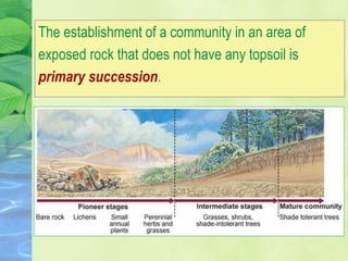 The establishment of a community in an area of
exposed rock that does not have any topsoil is
primary succession.
 