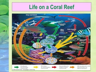 Major types of ecosystem | PPT