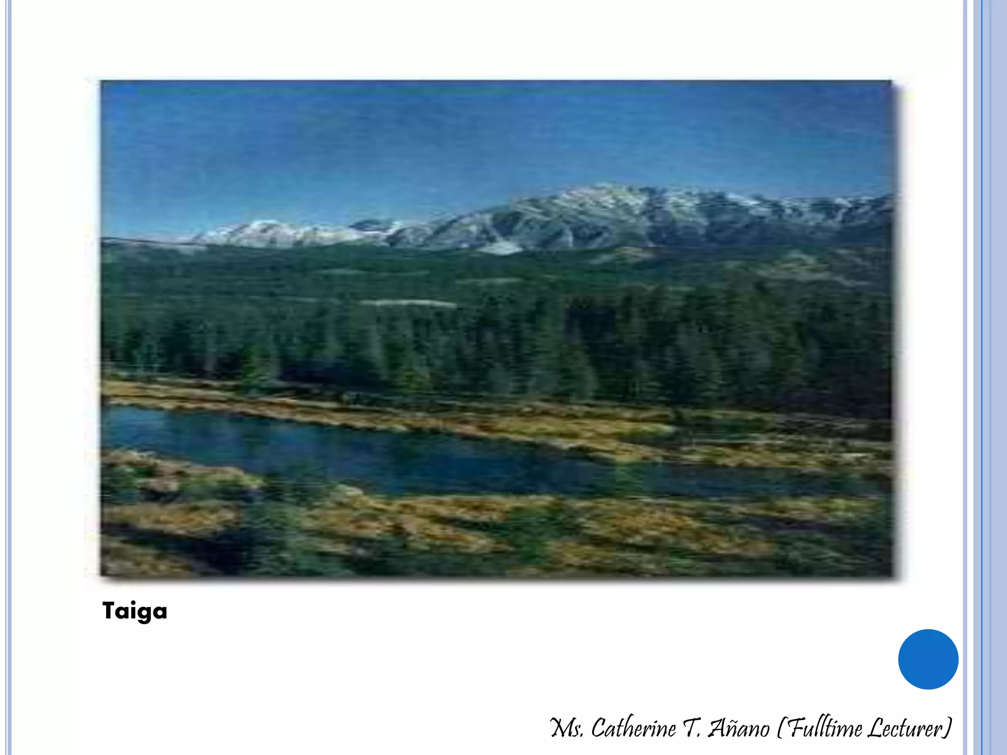 Ms. Catherine T. Añano (Fulltime Lecturer) 
Taiga 
 