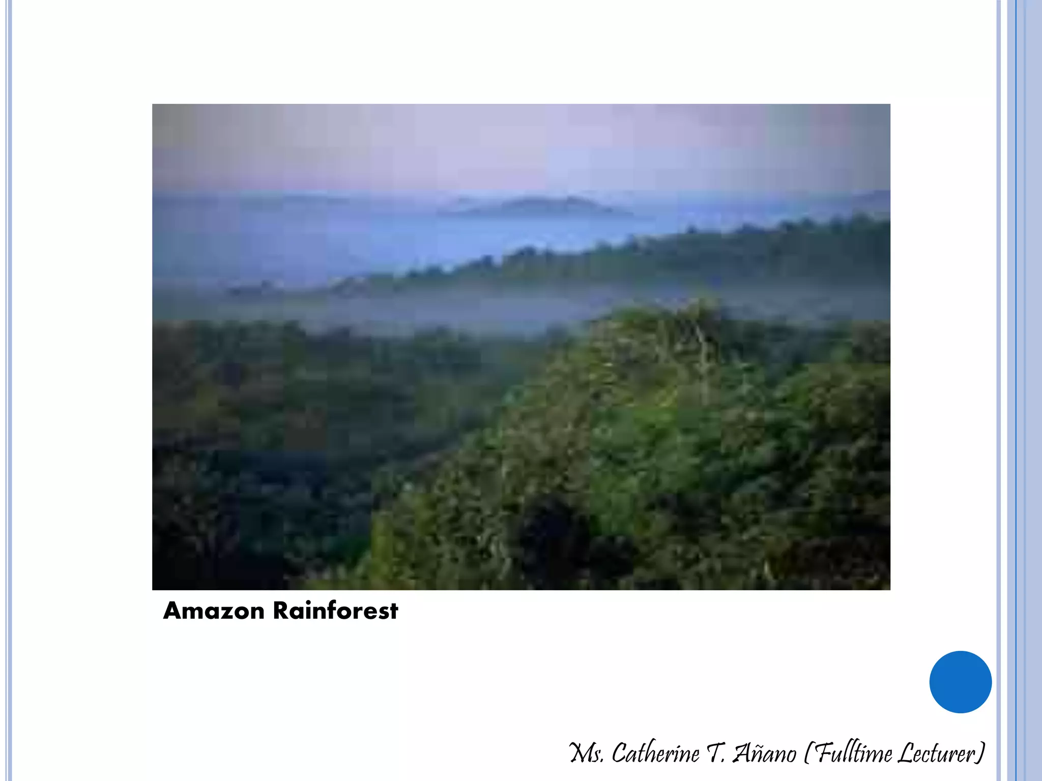 Ms. Catherine T. Añano (Fulltime Lecturer) 
Amazon Rainforest 
 