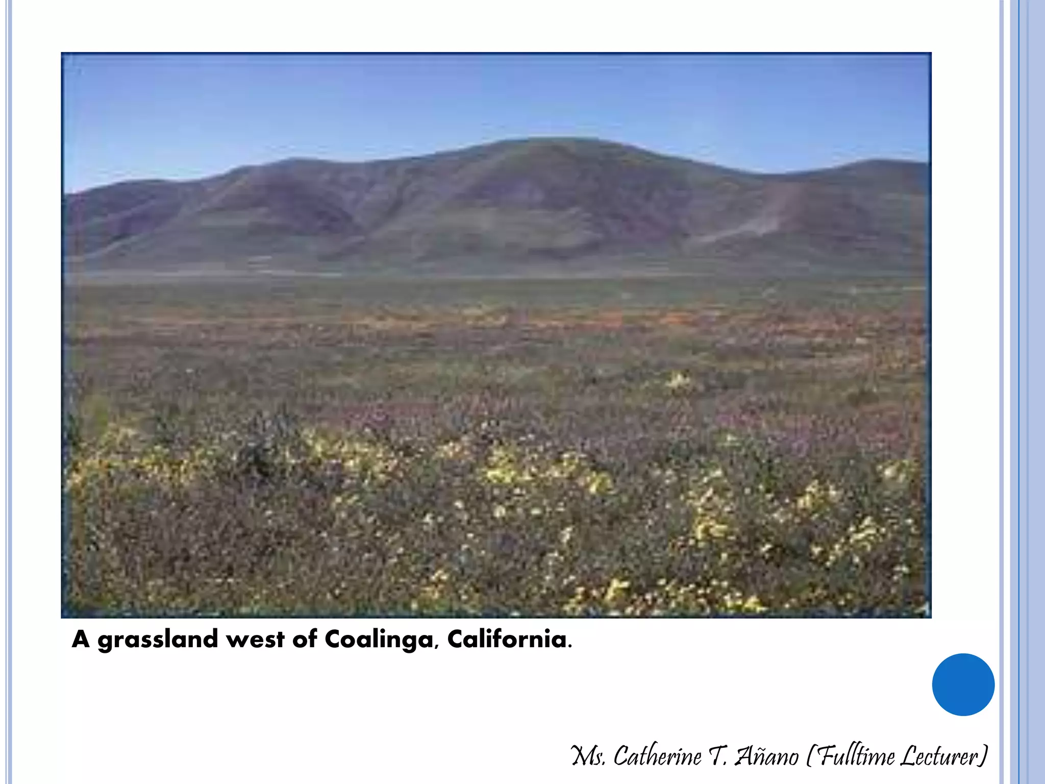 A grassland west of Coalinga, California. 
Ms. Catherine T. Añano (Fulltime Lecturer) 
 
