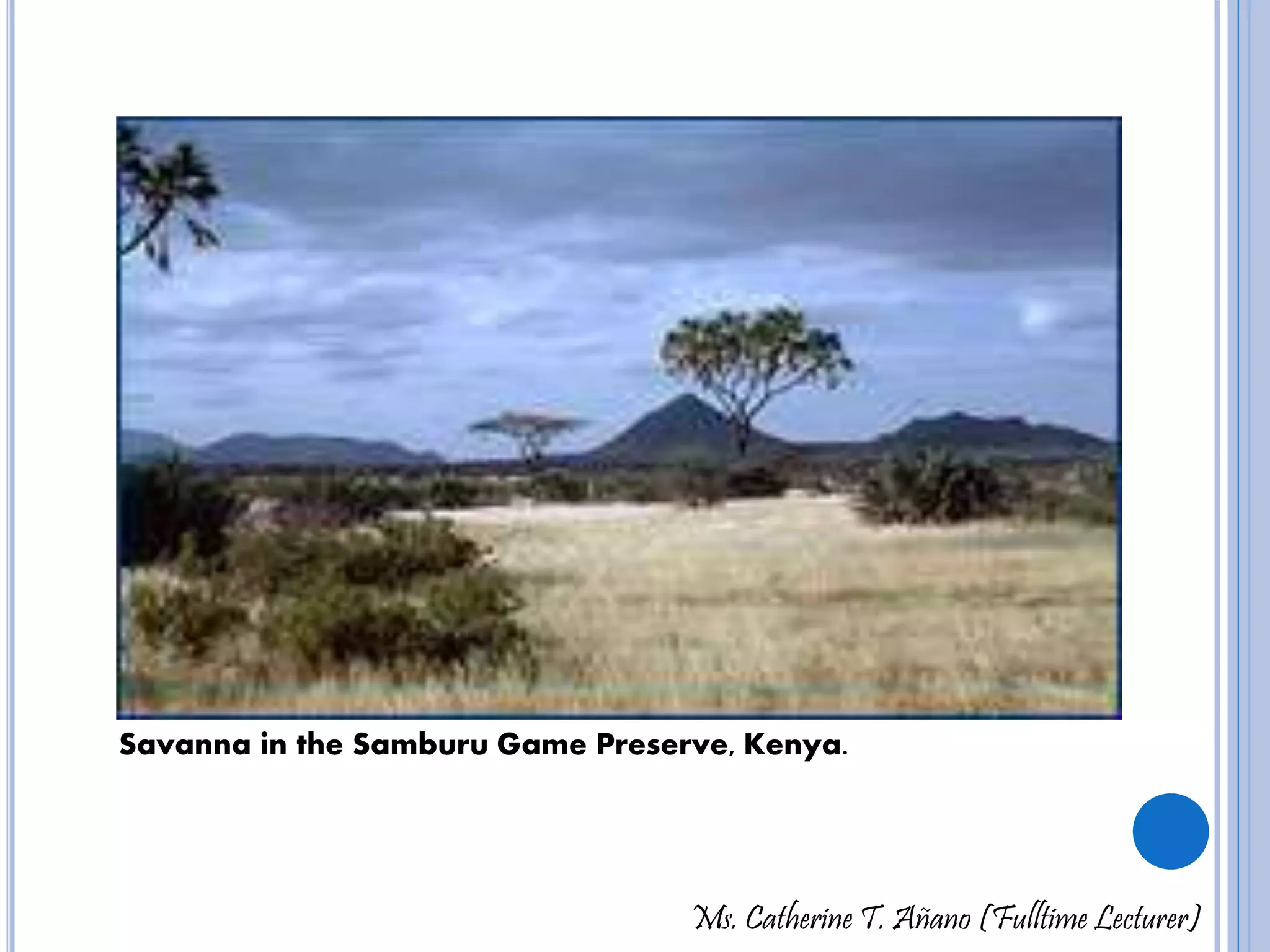 Savanna in the Samburu Game Preserve, Kenya. 
Ms. Catherine T. Añano (Fulltime Lecturer) 
 