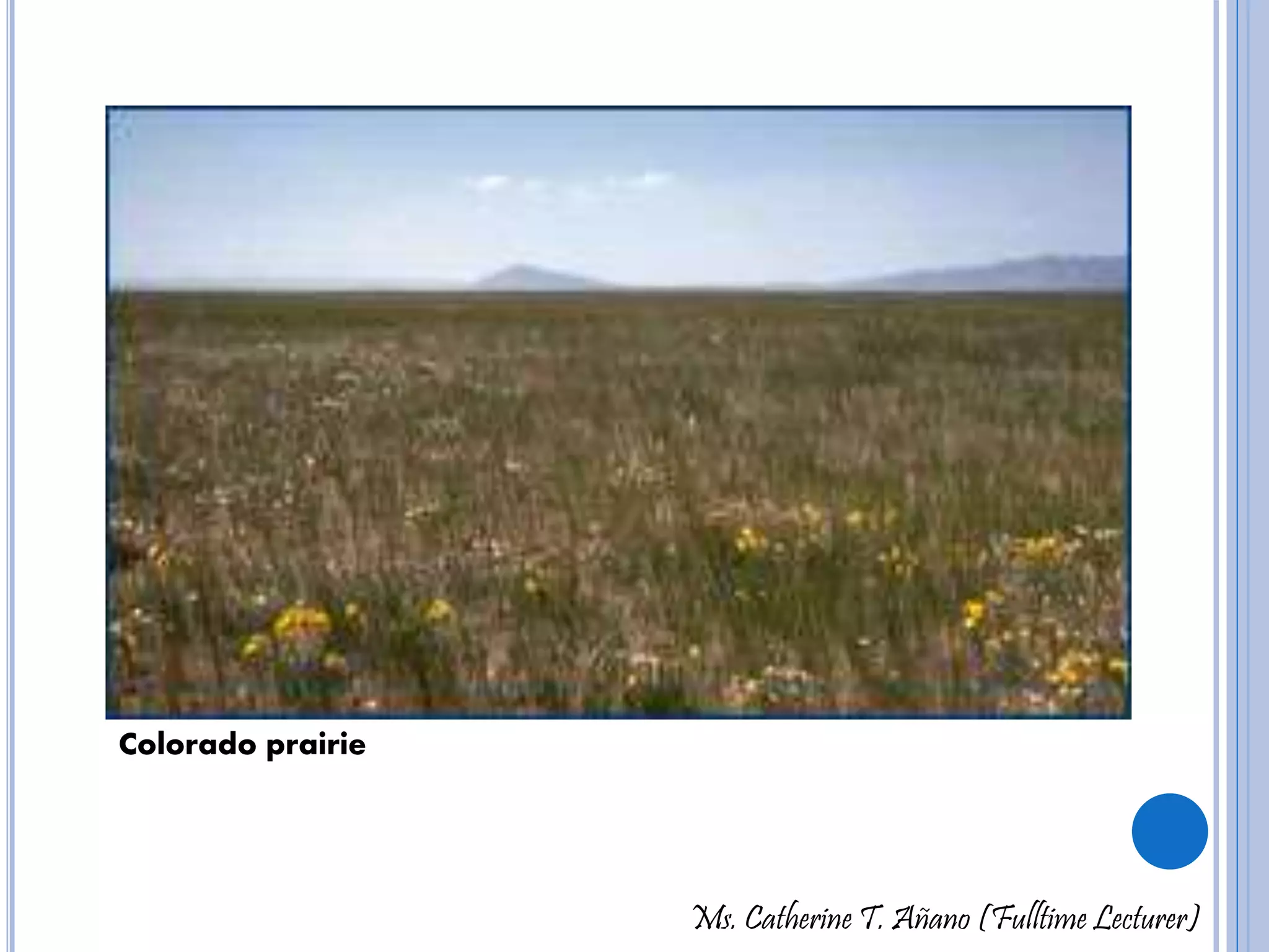 Ms. Catherine T. Añano (Fulltime Lecturer) 
Colorado prairie 
 