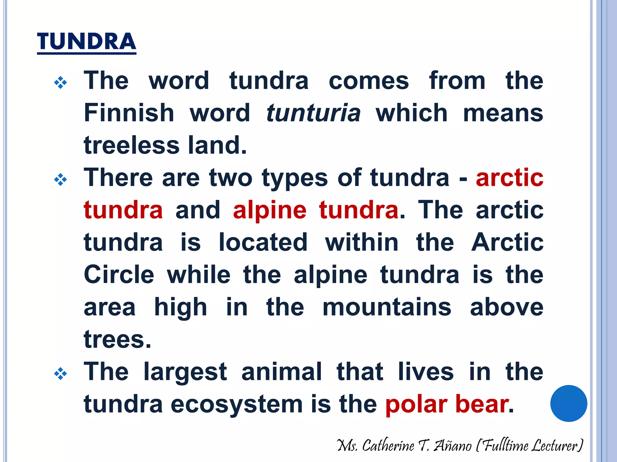 TUNDRA 
 The word tundra comes from the 
Finnish word tunturia which means 
treeless land. 
 There are two types of tundra - arctic 
tundra and alpine tundra. The arctic 
tundra is located within the Arctic 
Circle while the alpine tundra is the 
area high in the mountains above 
trees. 
 The largest animal that lives in the 
tundra ecosystem is the polar bear. 
Ms. Catherine T. Añano (Fulltime Lecturer) 
 