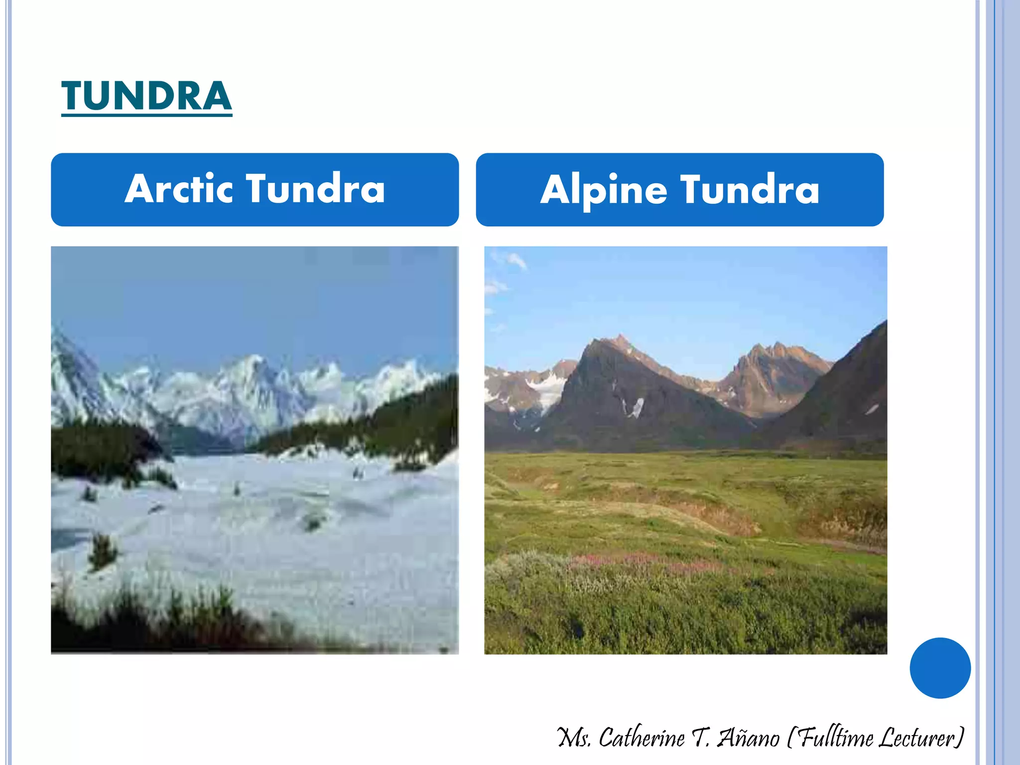 TUNDRA 
Arctic Tundra Alpine Tundra 
Ms. Catherine T. Añano (Fulltime Lecturer) 
 