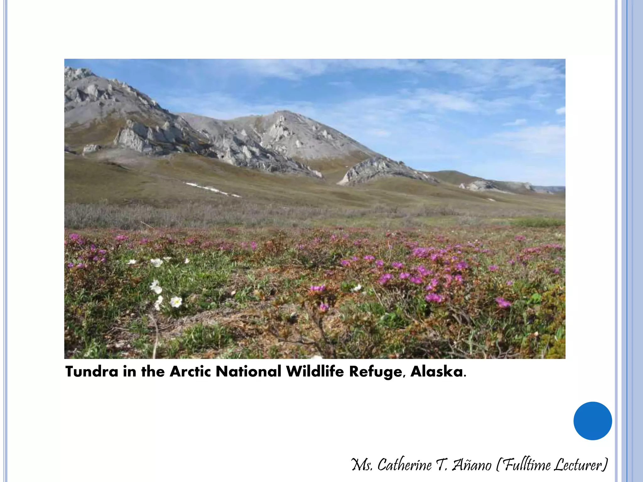 Tundra in the Arctic National Wildlife Refuge, Alaska. 
Ms. Catherine T. Añano (Fulltime Lecturer) 
 