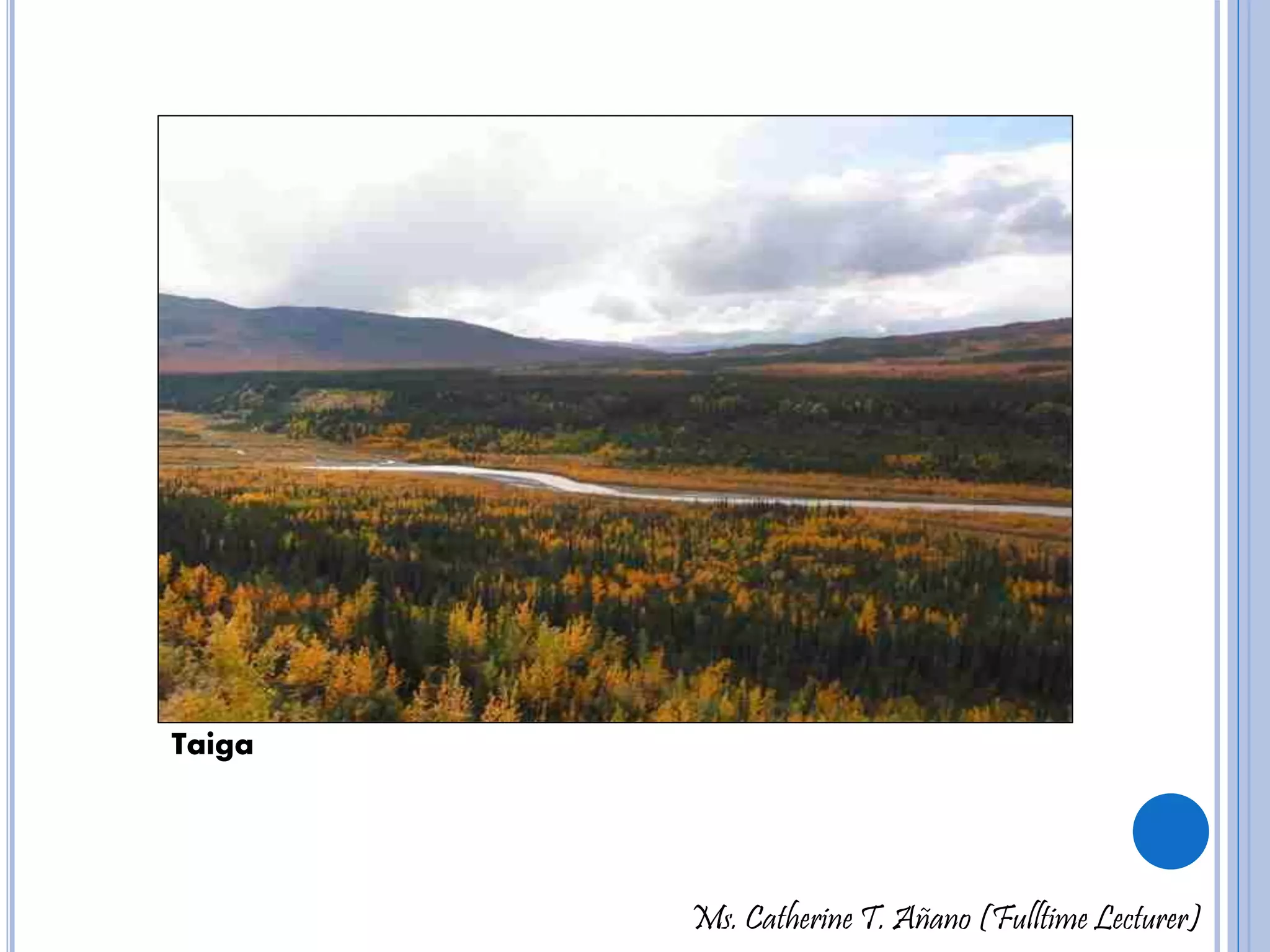 Ms. Catherine T. Añano (Fulltime Lecturer) 
Taiga 
 