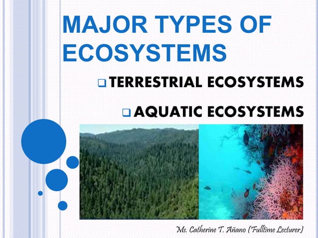 11 Different Types Of Ecosystems Around The World – DRXKT
