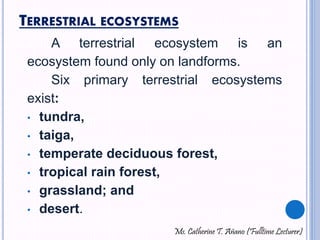 types of terrestrial ecosystems