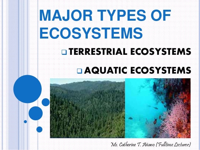 major types of ecosystems 1 638 jpg cb 1415917540 types of ecosystems