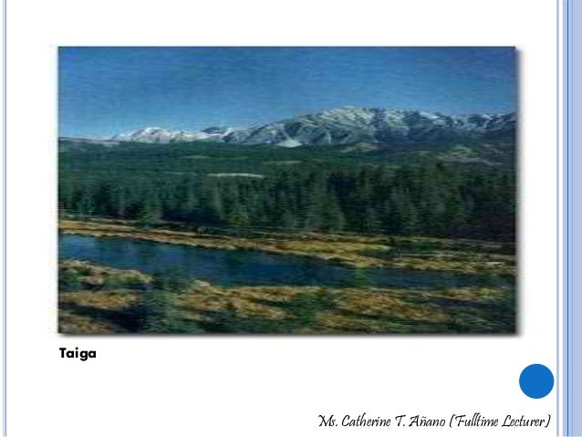 types of ecosystems
