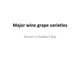 Major wine grape varieties Grown in Hawke’s Bay 