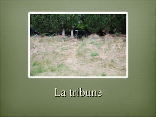 La tribune 