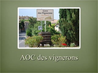 AOC des vignerons 