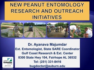 Dr. Ayanava Majumdar Ext. Entomologist, State SARE Coordinator Gulf Coast Research & Ext. Center 8300 State Hwy 104, Fairhope AL 36532 Tel: (251) 331-8416 [email_address] 