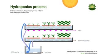 Hydroponics process
Water pump
Nutrients switch
Air stone
Under a water culture, the plants are growing with their
roots deeping in nutrient water.
LED
All the process is controlled and automated by an
Kree Artiﬁcial Intelligence
 