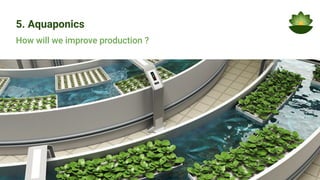 5. Aquaponics
How will we improve production ?
 