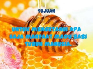 Tujuan


 Untuk mengetahui apa
saja manfaat madu babi
     tubuh manusia.
 