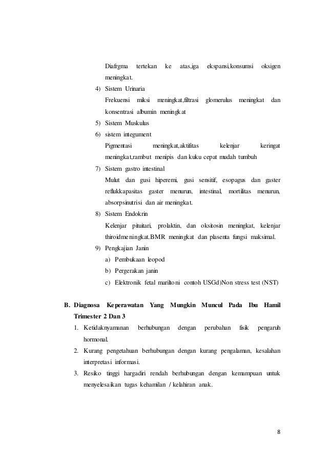 Makalah bumil trimester 2 &3