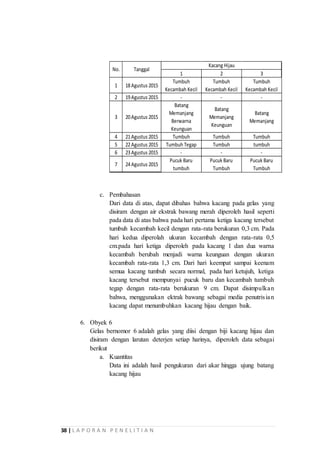 Laporan Penelitian Ilmiah Kacang Hijau