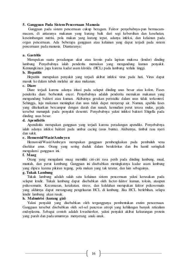 Contoh Makalah Sistem Pencernaan Pada Manusia Barisan Contoh
