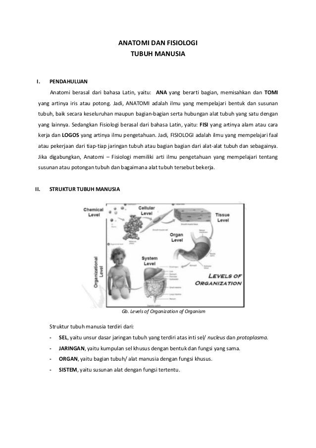 modul anatomi fisiologi manusia .pdf