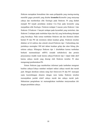 fitokrom merupakan homodimer dan suatu polipeptida yang masing-masing
memiliki gugus prostetik yang disebut kromofor.Kromofor yang menyerap
cahaya dan memberikan efek fisiologis pada fitokrom. Pr yang diubah
menjadi Prf terjadi perubahan struktur Cis--Tran pada kromofor yang
menjadikan efek fisiologis. Fitokrom terdapat 2 macam yaitu fitokrom 1 dan
fitokrom 2.Fitokrom 1 banyak terdapat pada kecambah yang teretiolasi, dan
fitokrom 2 terdapat pada tumbuhan hijau dan biji yang berkembang ditempat
yang bercahaya. Pada semua tumbuhan fitokrom ada dan disintesis dalam
bentuk Pr dan Pfr tak tersintesis dalam keadaan gelap. Fitokrom tersebar
didalam sel di nukleus dan seluruh sitosol.Fitokrom tipe 1 berkembang dan
jumlahnya meningkat 100 kali dalam keadaan gelap dan akan hilang jika
terkena cahaya. Hilangnya fitokrom tipe 1 disebabkan karena tumbuhan
berhenti

mentranskripsi

mRNA

(mudah

terhidrolisis)

dan

protein

penyusunnya mudah rusak karena cahaya.Fitokrom tipe 1 dapat tidak aktif
karena cahaya merah yang diserap oleh fitokrom tersebut. Pr akan
mengurangi pembentukan Pfr.
Sistem fitokrom juga memberikan informasi pada tumbuhan mengenai
kualitas cahaya.Cahaya matahari meliputi radiasi cahaya merah dan merah
jauh. Dengan demikian selama siang hari fotoreversi Pr dan Prf mencapai
suatu keseimbangan dinamis dengan rasio kedua fitokrom tersebut
menunjukkan jumlah relatif cahaya merah dan cahaya merah jauh.
Mekanisme pengindraan ini memungkinkan tumbuhan menyesuaikan diri
dengan perubahan cahaya.

10

 