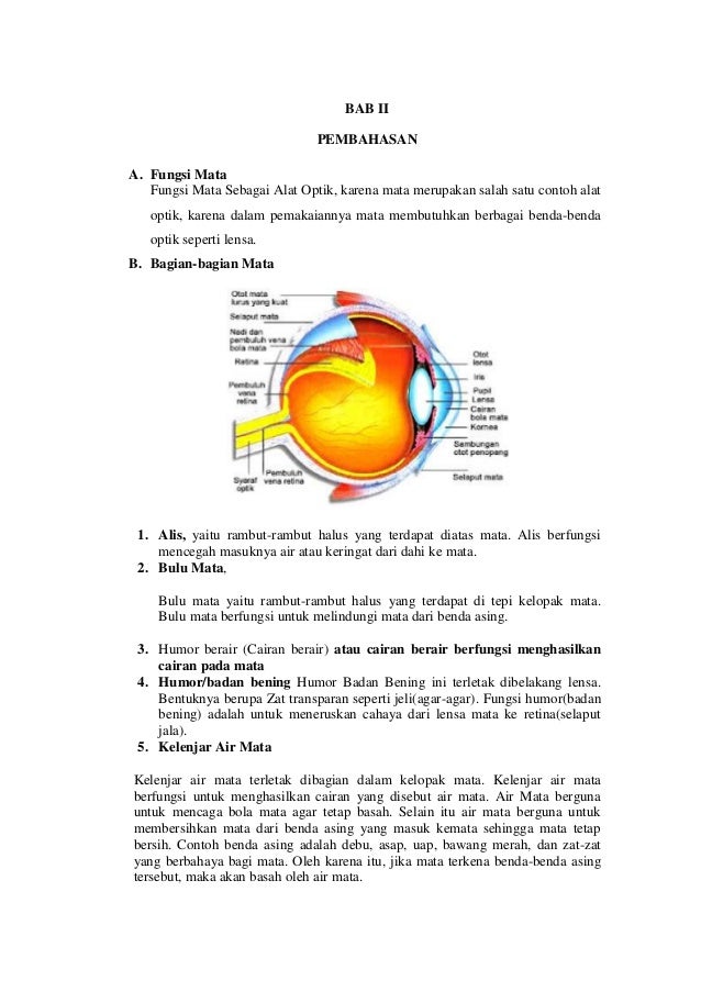 Makalah alat optik  MATA