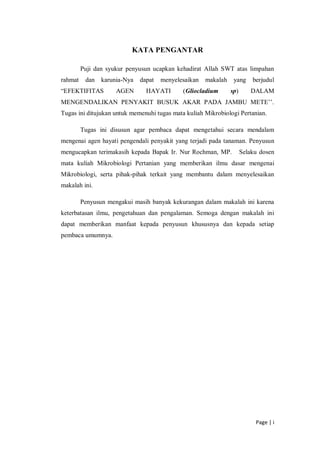Page | i
KATA PENGANTAR
Puji dan syukur penyusun ucapkan kehadirat Allah SWT atas limpahan
rahmat dan karunia-Nya dapat menyelesaikan makalah yang berjudul
“EFEKTIFITAS AGEN HAYATI (Gliocladium sp) DALAM
MENGENDALIKAN PENYAKIT BUSUK AKAR PADA JAMBU METE’’.
Tugas ini ditujukan untuk memenuhi tugas mata kuliah Mikrobiologi Pertanian.
Tugas ini disusun agar pembaca dapat mengetahui secara mendalam
mengenai agen hayati pengendali penyakit yang terjadi pada tanaman. Penyusun
mengucapkan terimakasih kepada Bapak Ir. Nur Rochman, MP. Selaku dosen
mata kuliah Mikrobiologi Pertanian yang memberikan ilmu dasar mengenai
Mikrobiologi, serta pihak-pihak terkait yang membantu dalam menyelesaikan
makalah ini.
Penyusun mengakui masih banyak kekurangan dalam makalah ini karena
keterbatasan ilmu, pengetahuan dan pengalaman. Semoga dengan makalah ini
dapat memberikan manfaat kepada penyusun khususnya dan kepada setiap
pembaca umumnya.
 