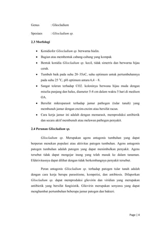Page | 4
Genus : Gliocladium
Spesiaes : Gliocladium sp.
2.3 Morfologi
Konidiofor Gliocladium sp. berwarna hialin.
Bagian atas membentuk cabang-cabang yang kompak
Bentuk konidia Gliocladium sp. kecil, tidak simetris dan berwarna hijau
cerah.
Tumbuh baik pada suhu 20–35oC, suhu optimum untuk pertumbuhannya
pada suhu 25 o
C, pH optimum antara 6,4 – 8.
Sangat toleran terhadap CO2. koloninya berwana hijau muda dengan
miselia panjang dan halus, diameter 5-8 cm dalam waktu 5 hari di medium
OA.
Bersifat mikroparasit terhadap jamur pathogen (tular tanah) yang
membunuh jamur dengan enzim-enzim atau bersifat racun.
Cara kerja jamur ini adalah dengan memarasit, memproduksi antibiotik
dan secara aktif membunuh atau melawan pathogen penyakit.
2.4 Peranan Gliocladium sp.
Gliocladium sp. Merupakan agens antagonis tumbuhan yang dapat
berperan menekan populasi atau aktivitas patogen tumbuhan. Agens antagonis
patogen tumbuhan adalah patogen yang dapat menimbulkan penyakit. Agens
tersebut tidak dapat mengejar inang yang telah masuk ke dalam tanaman.
Efektivitasnya dapat dilihat dengan tidak berkembangnya penyakit tersebut.
Peran antagonis Gliocladium sp. terhadap patogen tular tanah adalah
dengan cara kerja berupa parasitisme, kompetisi, dan antibiosis. Dilaporkan
Gliocladium sp. dapat memproduksi gliovirin dan viridian yang merupakan
antibiotik yang bersifat fungisistik. Gliovirin merupakan senyawa yang dapat
menghambat pertumbuhan beberapa jamur patogen dan bakteri.
 