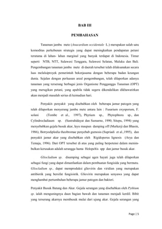 Page | 5
BAB III
PEMBAHASAN
Tanaman jambu mete (Anacardium occidentale L.) merupakan salah satu
komoditas perkebunan strategis yang dapat meningkatkan pendapatan petani
terutama di lahan- lahan marginal yang banyak terdapat di Indonesia. Timur
seperti NTB, NTT, Sulawesi Tenggara, Sulawesi Selatan, Maluku dan Bali.
Pengembangan tanaman jambu mete di daerah tersebut telah dilaksanakan secara
luas melaluiproyek pemerintah bekerjasama dengan beberapa badan keungan
dunia. Sejalan dengan perluasan areal pengembangan, telah dilaporkan adanya
tanaman yang terserang berbagai jenis Organisme Pengganggu Tanaman (OPT)
yang merugikan petani, yang apabila tidak segera dikendalikan dikhawatirkan
akan menjadi masalah serius di kemudian hari.
Penyakit- penyakit yang disebabkan oleh beberapa jamur patogen yang
telah dilaporkan menyerang jambu mete antara lain : Fusarium oxysporum, F.
solani (Tombe et al., 1997), Phytium sp., Phytophtora sp., dan
Cylindrocladiaum sp. (Sastrahidayat dan Sumarno, 1990; Sitepu, 1994) yang
menyebabkan gejala busuk akar, layu maupun damping off (Murkerji dan Bhasin,
1986), Botryodiplodia theobromae penyebab gumosis (Supriadi et al.,1995), dan
penyakit jamur akar yang disebabkan oleh Rigidoporus lignosis (Arya dan
Temaja, 1996). Dari OPT tersebut di atas yang paling berpotensi dalam menim-
bulkan kerusakan adalah serangga hama Helopeltis spp dan jamur busuk akar.
Gliocladium sp. disamping sebagai agen hayati juga telah dilaporkan
sebagai fungi yang dapat dimanfaatkan dalam pembuatan fungisida yang bermutu.
Gliocladium sp., dapat memproduksi gliovirin dan viridian yang merupakan
antibiotik yang bersifat fungisistik. Gliovirin merupakan senyawa yang dapat
menghambat pertumbuhan beberapa jamur patogen dan bakteri.
Penyakit Busuk Batang dan Akar. Gejala serangan yang disebabkan oleh Pythium
sp. ialah menguningnya daun bagian bawah dan tanaman menjadi kerdil. Bibit
yang terserang akarnya membusuk mulai dari ujung akar. Gejala serangan yang
 