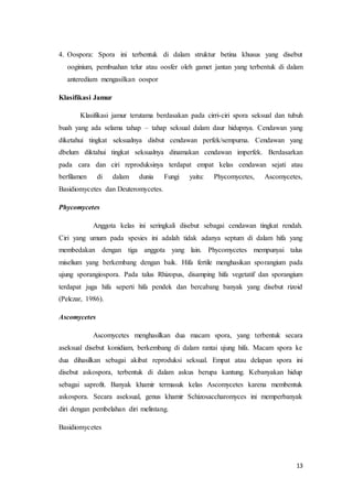 4. Oospora: Spora ini terbentuk di dalam struktur betina khusus yang disebut 
ooginium, pembuahan telur atau oosfer oleh gamet jantan yang terbentuk di dalam 
anteredium mengasilkan oospor 
13 
Klasifikasi Jamur 
Klasifikasi jamur terutama berdasakan pada cirri-ciri spora seksual dan tubuh 
buah yang ada selama tahap – tahap seksual dalam daur hidupnya. Cendawan yang 
diketahui tingkat seksualnya disbut cendawan perfek/sempurna. Cendawan yang 
dbelum diktahui tingkat seksualnya dinamakan cendawan imperfek. Berdasarkan 
pada cara dan ciri reproduksinya terdapat empat kelas cendawan sejati atau 
berfilamen di dalam dunia Fungi yaitu: Phycomycetes, Ascomycetes, 
Basidiomycetes dan Deuteromycetes. 
Phycomycetes 
Anggota kelas ini seringkali disebut sebagai cendawan tingkat rendah. 
Ciri yang umum pada spesies ini adalah tidak adanya septum di dalam hifa yang 
membedakan dengan tiga anggota yang lain. Phycomycetes mempunyai talus 
miselium yang berkembang dengan baik. Hifa fertile menghasikan sporangium pada 
ujung sporangiospora. Pada talus Rhizopus, disamping hifa vegetatif dan sporangium 
terdapat juga hifa seperti hifa pendek dan bercabang banyak yang disebut rizoid 
(Pelczar, 1986). 
Ascomycetes 
Ascomycetes menghasilkan dua macam spora, yang terbentuk secara 
aseksual disebut konidiam, berkembang di dalam rantai ujung hifa. Macam spora ke 
dua dihasilkan sebagai akibat reproduksi seksual. Empat atau delapan spora ini 
disebut askospora, terbentuk di dalam askus berupa kantung. Kebanyakan hidup 
sebagai saprofit. Banyak khamir termasuk kelas Ascomycetes karena membentuk 
askospora. Secara aseksual, genus khamir Schizosaccharomyces ini memperbanyak 
diri dengan pembelahan diri melintang. 
Basidiomycetes 
 