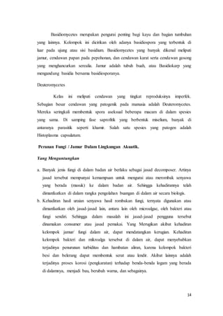Basidiomycetes merupakan pengurai penting bagi kayu dan bagian tumbuhan 
yang lainnya. Kelompok ini dicirikan oleh adanya basidiospora yang terbentuk di 
luar pada ujung atau sisi basidium. Basidiomycetes yang banyak dikenal meliputi 
jamur, cendawan papan pada pepohonan, dan cendawan karat serta cendawan gosong 
yang menghancurkan serealia. Jamur adalah tubuh buah, atau Basidiokarp yang 
mengandung basidia bersama basidiosporanya. 
14 
Deuteromycetes 
Kelas ini meliputi cendawan yang tingkat reproduksinya imperfek. 
Sebagian besar cendawan yang patogenik pada manusia adalah Deuteromycetes. 
Mereka seringkali membentuk spora aseksual beberapa macam di dalam spesies 
yang sama. Di samping fase saprofitik yang berbentuk miselium, banyak di 
antaranya parasitik seperti khamir. Salah satu spesies yang patogen adalah 
Histoplasma capsulatum. 
Peranan Fungi / Jamur Dalam Lingkungan Akuatik. 
Yang Menguntungkan 
a. Banyak jenis fungi di dalam badan air berlaku sebagai jasad decomposer. Artinya 
jasad tersebut mempunyai kemampuan untuk mengurai atau merombak senyawa 
yang berada (masuk) ke dalam badan air. Sehingga kehadirannya telah 
dimanfaatkan di dalam rangka pengolahan buangan di dalam air secara biologis. 
b. Kehadiran hasil uraian senyawa hasil rombakan fungi, ternyata digunakan atau 
dimanfaatkan oleh jasad-jasad lain, antara lain oleh microalgae, oleh bakteri atau 
fungi sendiri. Sehingga dalam masalah ini jasad-jasad pengguna tersebut 
dinamakan consumer atau jasad pemakai. Yang Merugikan akibat kehadiran 
kelompok jamur/ fungi dalam air, dapat mendatangkan kerugian. Kehadiran 
kelompok bakteri dan mikroalga tersebut di dalam air, dapat menyebabkan 
terjadinya penurunan turbiditas dan hambatan aliran, karena kelompok bakteri 
besi dan belerang dapat membentuk serat atau lendir. Akibat lainnya adalah 
terjadinya proses korosi (pengkaratan) terhadap benda-benda logam yang berada 
di dalamnya, menjadi bau, berubah warna, dan sebagainya. 
 