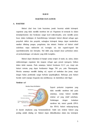 5 
BAB II 
BAKTERI DAN JAMUR 
A. BAKTERI 
Bakteri (dari kata Latin bacterium; jamak: bacteria) adalah kelompok 
organisme yang tidak memiliki membran inti sel. Organisme ini termasuk ke dalam 
domainprokariota dan berukuran sangat kecil (mikroskopik), serta memiliki peran 
besar dalam kehidupan di bumi.Beberapa kelompok bakteri dikenal sebagai agen 
penyebab infeksi dan penyakit, sedangkan kelompok lainnya dapat memberikan 
manfaat dibidang pangan, pengobatan, dan industri. Struktur sel bakteri relatif 
sederhana: tanpa nukleus/inti sel, kerangka sel, dan organel-organel lain 
sepertimitokondria dan kloroplas. Hal inilah yang menjadi dasar perbedaan antara 
sel prokariotdengan sel eukariot yang lebih kompleks. 
Bakteri dapat ditemukan di hampir semua tempat: di tanah, air, udara, dalam 
simbiosisdengan organisme lain maupun sebagai agen parasit (patogen), bahkan 
dalam tubuh manusia. Pada umumnya, bakteri berukuran 0,5-5 μm, tetapi ada 
bakteri tertentu yang dapat berdiameter hingga 700 μm, yaitu Thiomargarita. 
Mereka umumnya memiliki dinding sel, seperti sel tumbuhan dan jamur, tetapi 
dengan bahan pembentuk sangat berbeda (peptidoglikan). Beberapa jenis bakteri 
bersifat motil (mampu bergerak) dan mobilitasnya ini disebabkan oleh flagel. 
Struktur sel 
Seperti prokariot (organisme yang 
tidak memiliki membran inti) pada 
umumnya, semua bakteri memiliki 
struktur sel yang relatif sederhana. 
Sehubungan dengan ketiadaan 
membran inti, meteri genetik (DNA 
dan RNA) bakteri melayang-layang 
di daerah sitoplasma yang bernamanukleoid. Salah satu struktur bakteri yang 
penting adalah dinding sel. Bakteri dapat diklasifikasikan dalam dua kelompok 
 