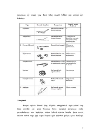 merupakan sel tunggal yang dapat hidup mandiri bahkan saat terpisah dari 
koloninya 
7 
Alat gerak 
Banyak spesies bakteri yang bergerak menggunakan flagel.Bakteri yang 
tidak memiliki alat gerak biasanya hanya mengikuti pergerakan media 
pertumbuhannya atau lingkungan tempat bakteri tersebut berada. Sama seperti 
struktur kapsul, flagel juga dapat menjadi agen penyebab penyakit pada beberapa 
 