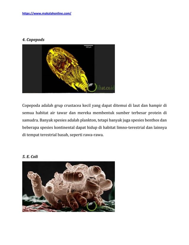 Makalah Badminton Lengkap Dengan Gambarnya